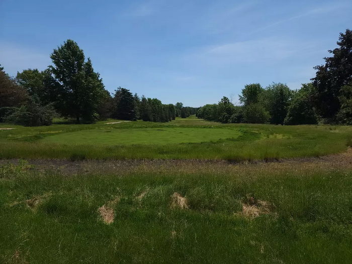 The Jewel of Grand Blanc - From Banana 1015 Radio